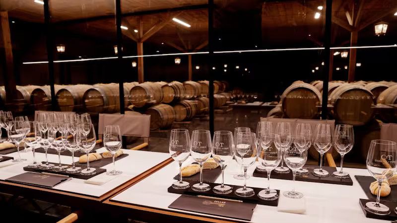 concha y toro pirque 1000111