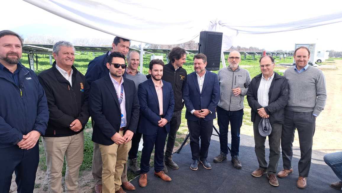 LOS MAITENES 11