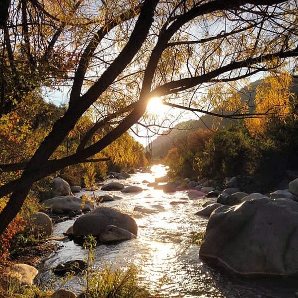 Parque Rio Clarillo33