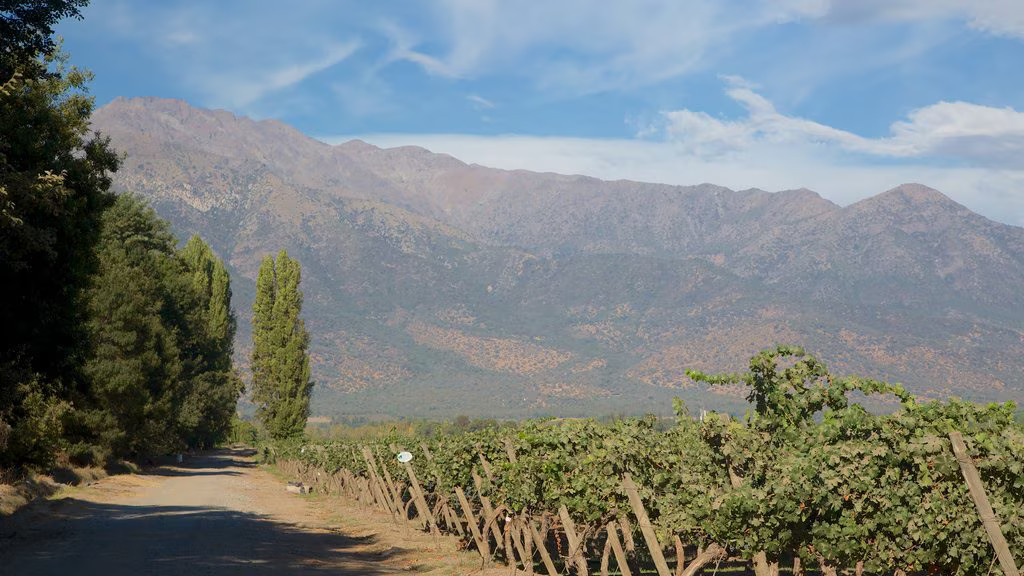 68581 Pirque