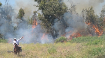 Incendio forestal en Pirque sector Colegio del Colonial video 01