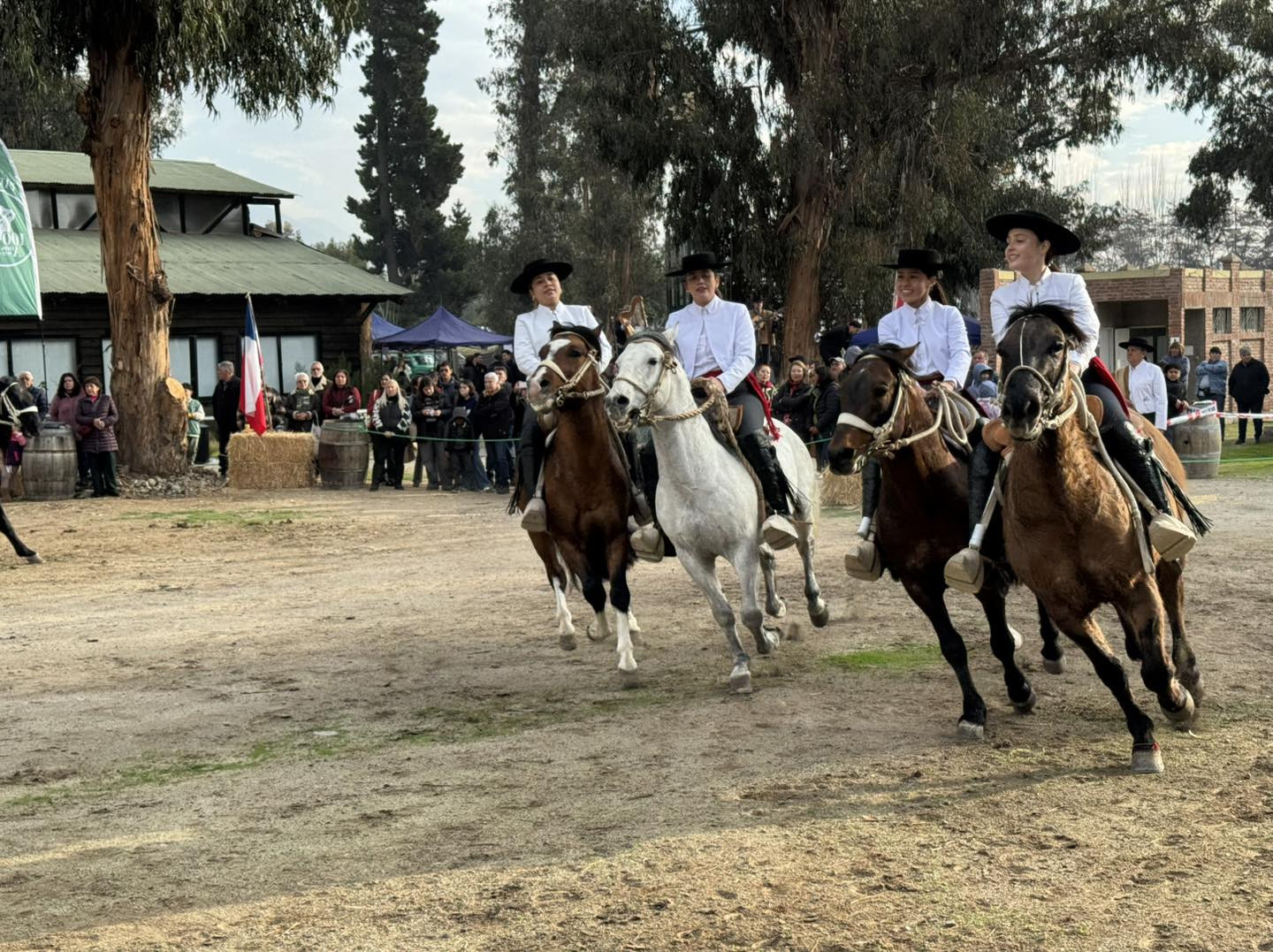 dia del padre pircano06