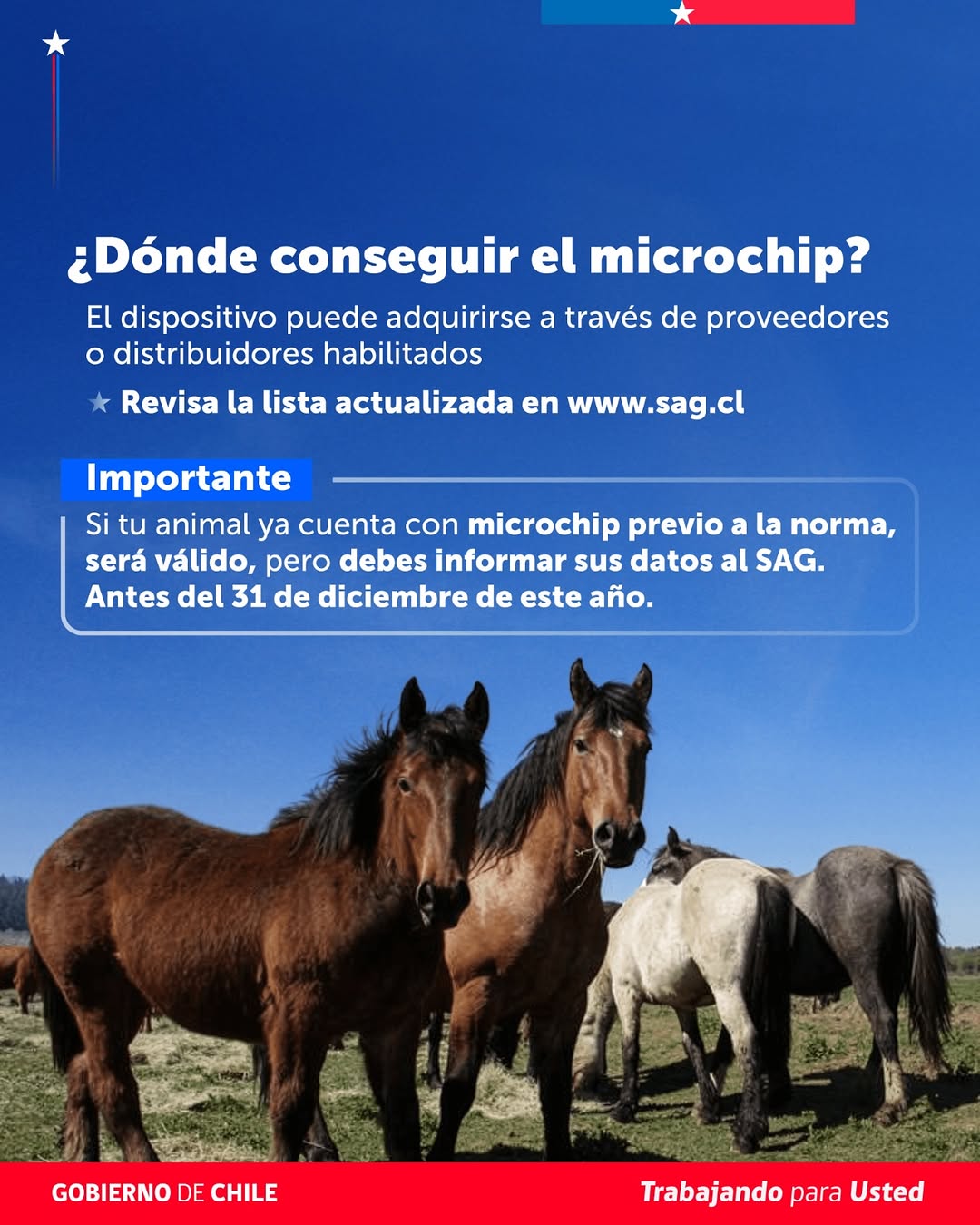 Imagen SAC 18 08 26 03