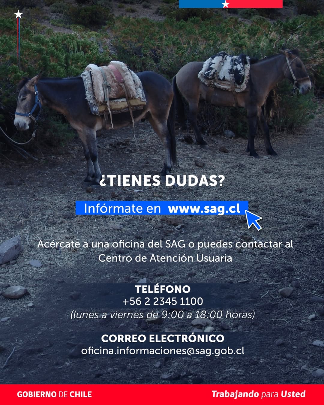 Imagen SAC 18 08 26 08