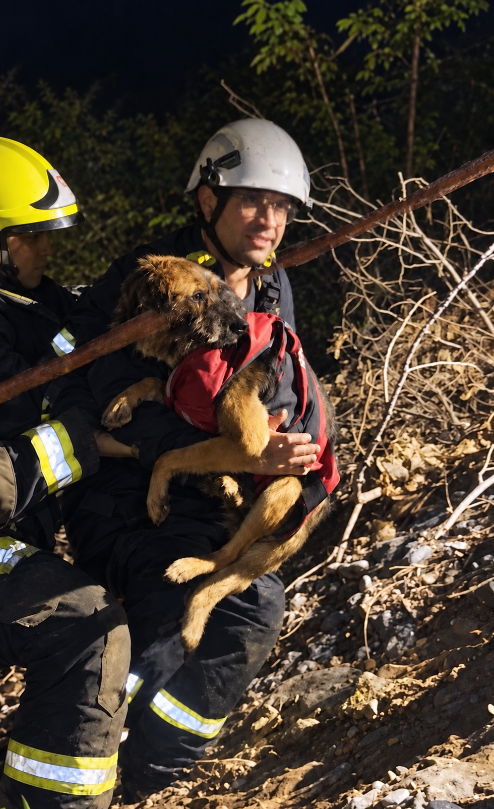 Rescate nocturno con perro rescatado