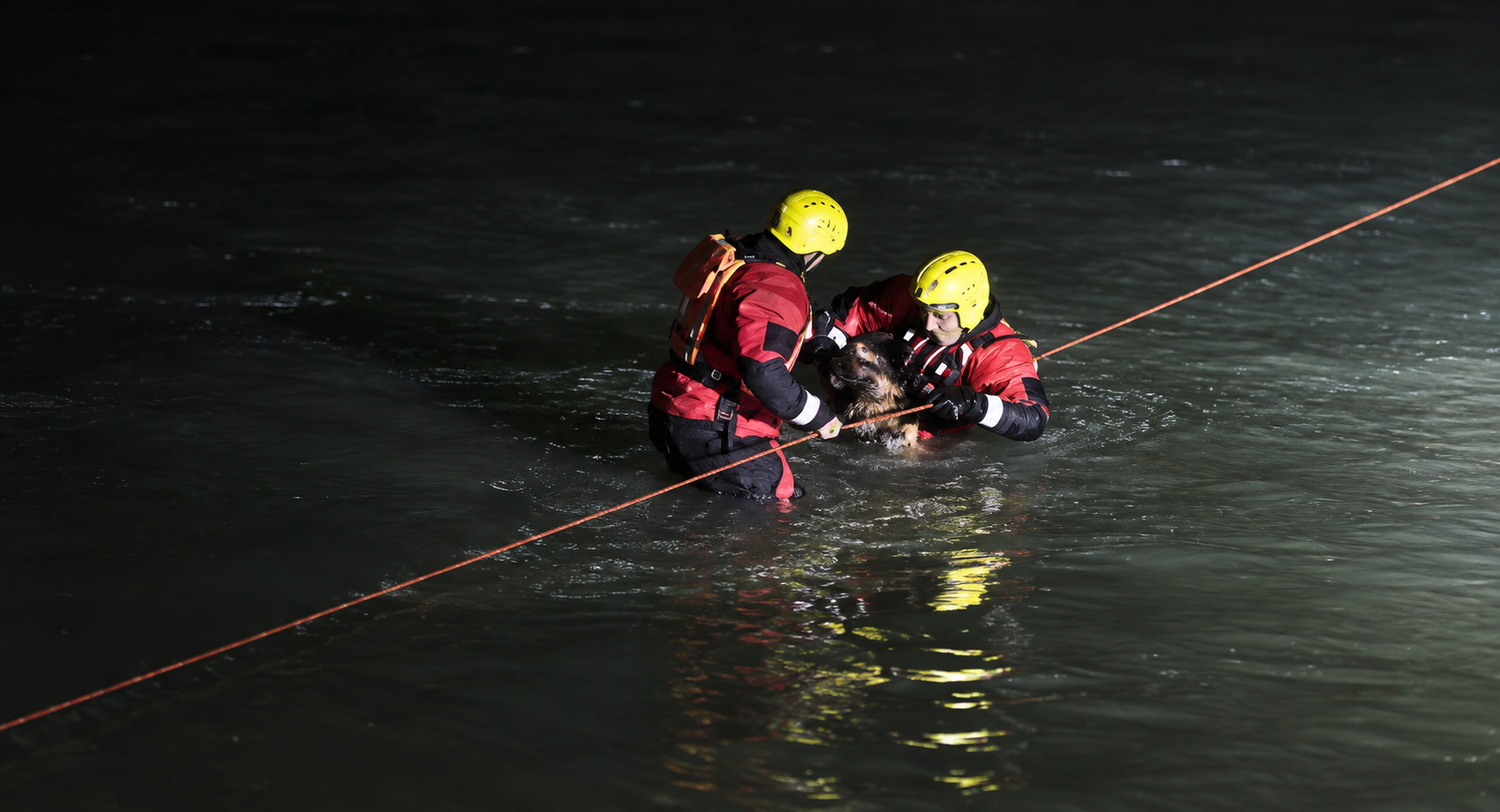 Rescate nocturno de un perro en el agua