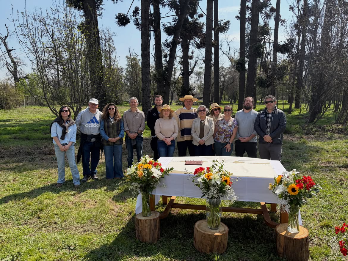 arboles 17 09 26 06