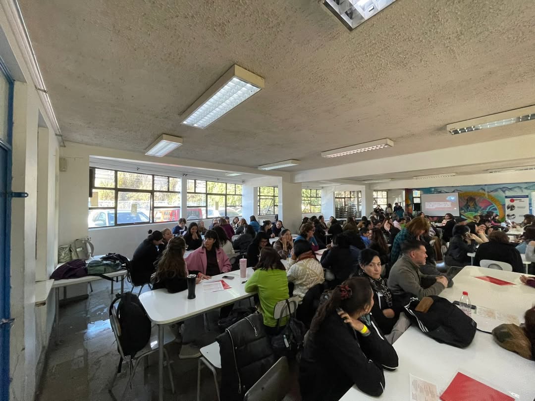 escuelas capacitacion crisiss