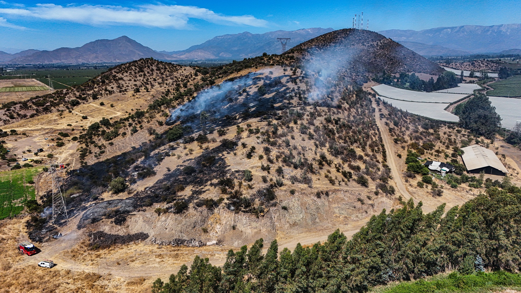 649837504 1350450670442727 4383827541522272620 n 1