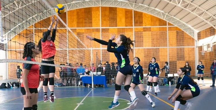 Almenar voleibol04