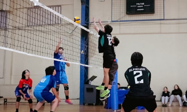 Almenar voleibol05