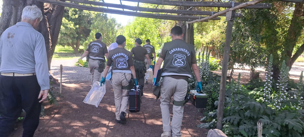 WhatsApp Image 2025 11 05 at 14.11.12 1