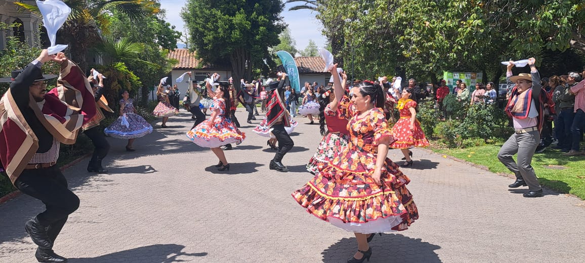 WhatsApp Image 2025 11 08 at 22.02.55