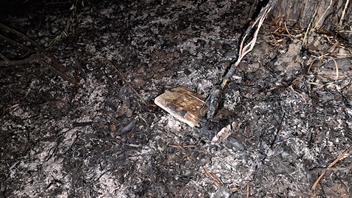 WhatsApp Image 2025 11 19 at 23.40.31