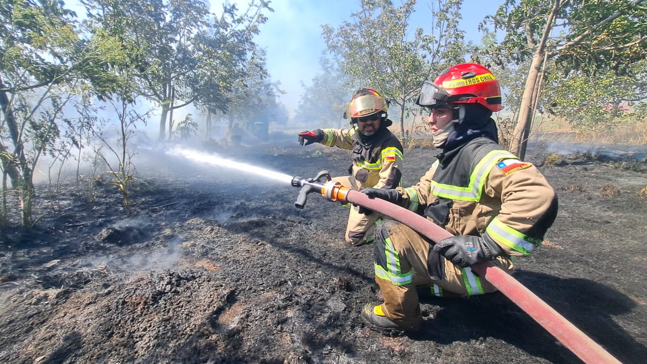 WhatsApp Image 2025 12 04 at 20.13.10