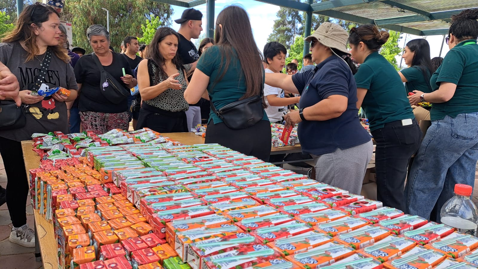 WhatsApp Image 2025 12 15 at 12.49.24 2