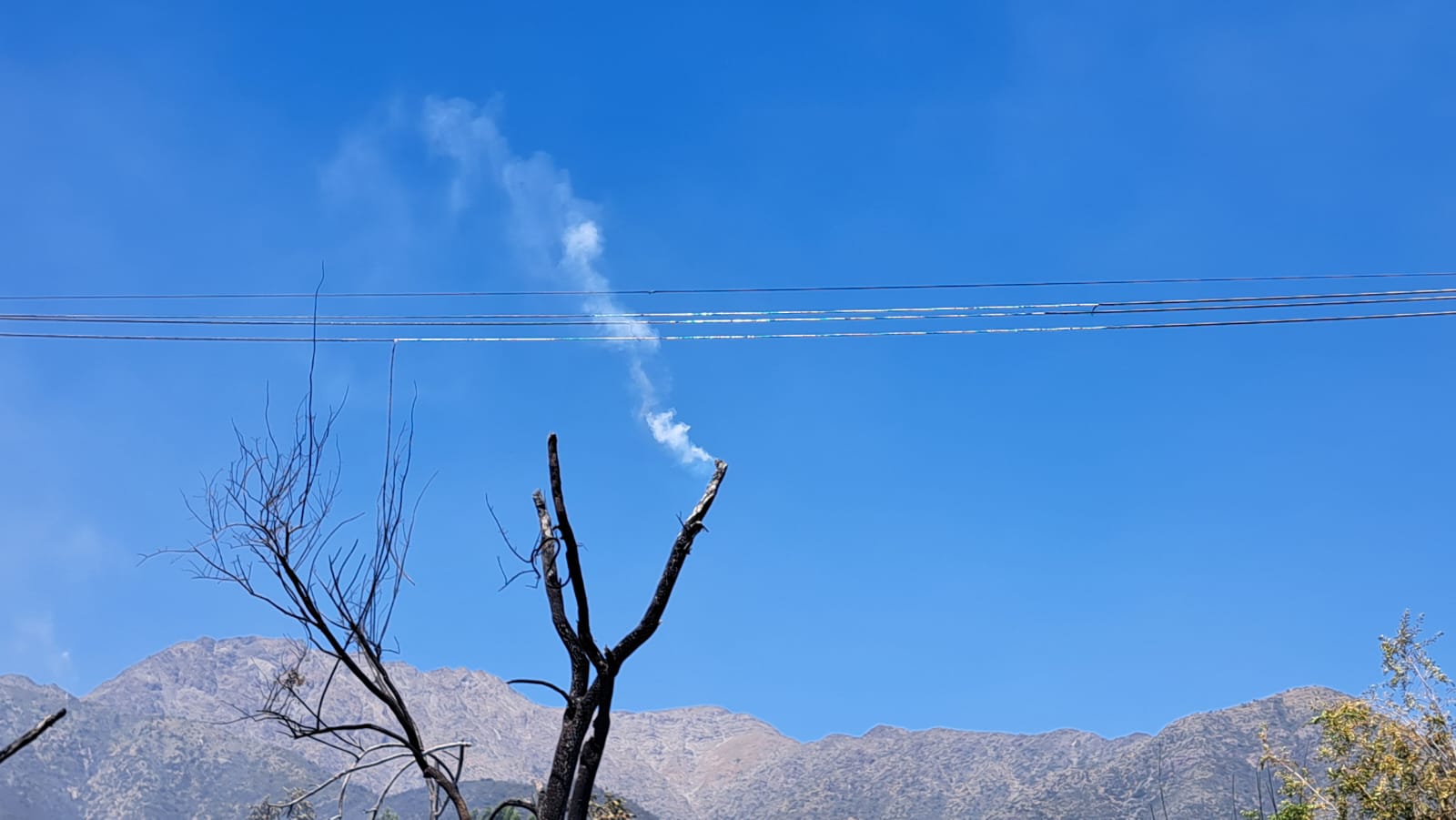 WhatsApp Image 2025 12 16 at 16.36.38