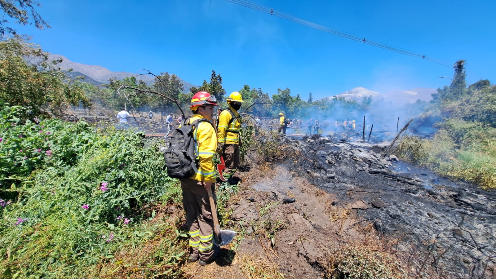 WhatsApp Image 2025 12 16 at 16.36.39