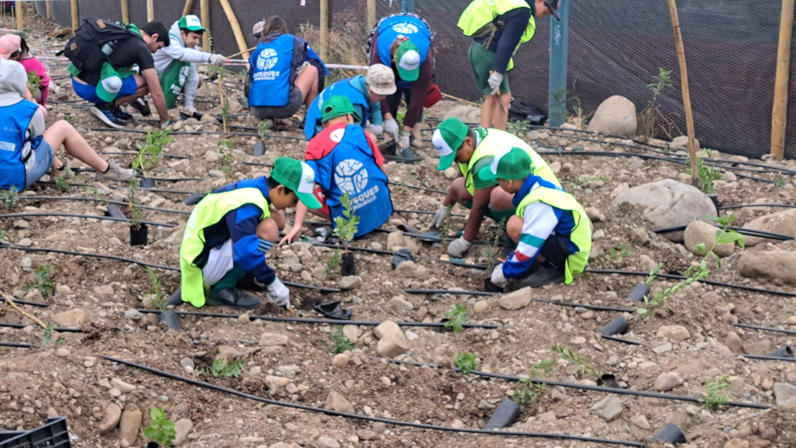 WhatsApp Image 2025 12 22 at 15.36.25