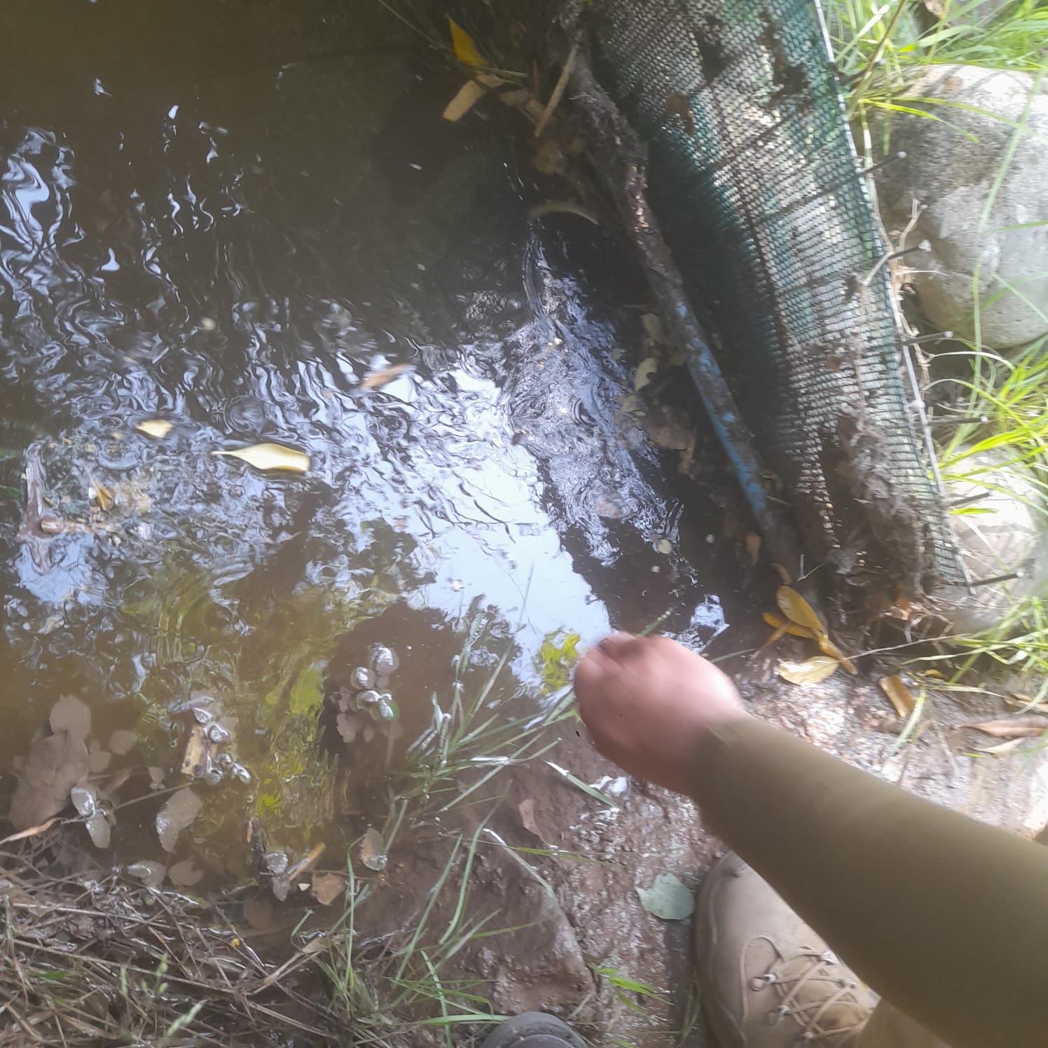 WhatsApp Image 2025 12 30 at 18.26.59 1