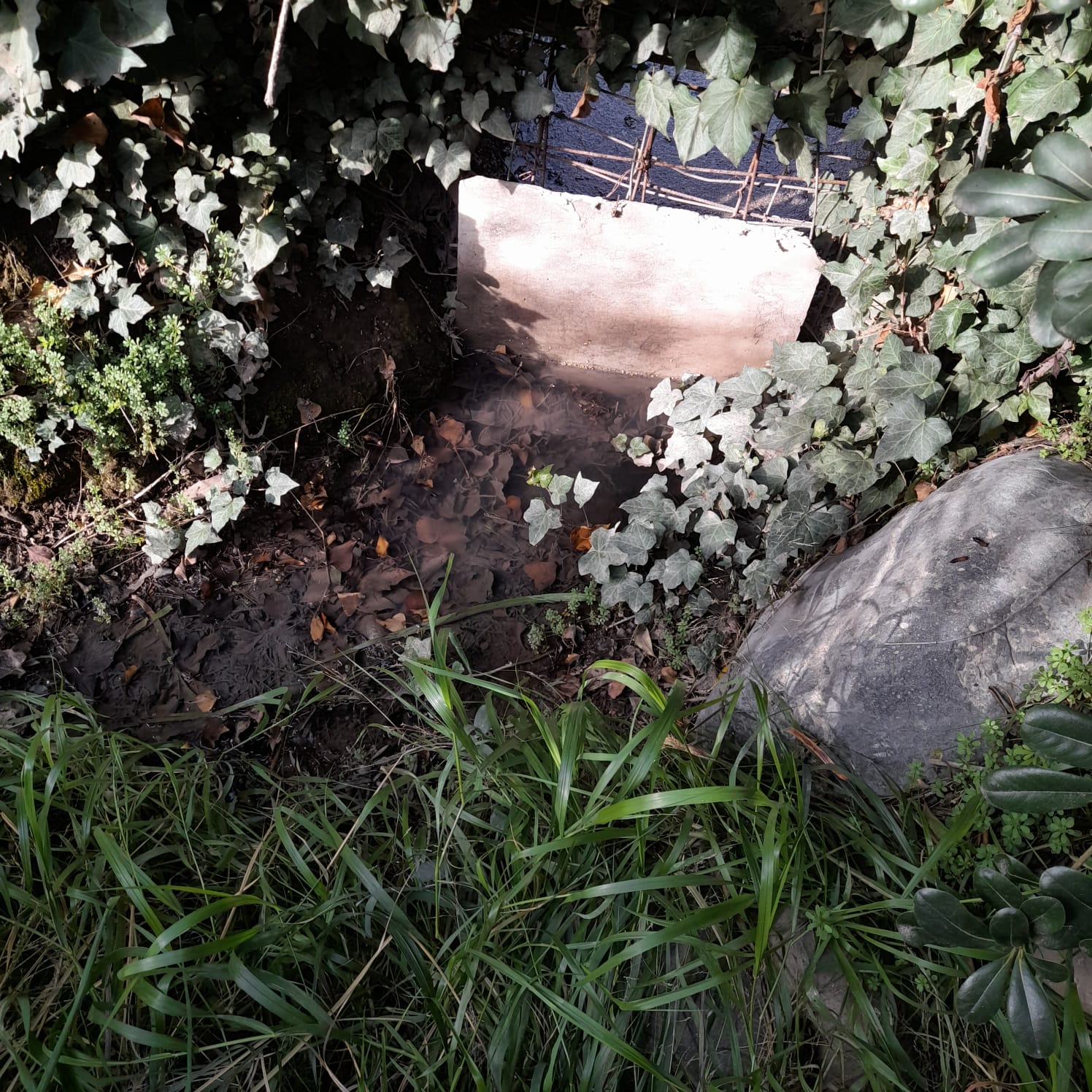 WhatsApp Image 2026 01 02 at 11.20.05