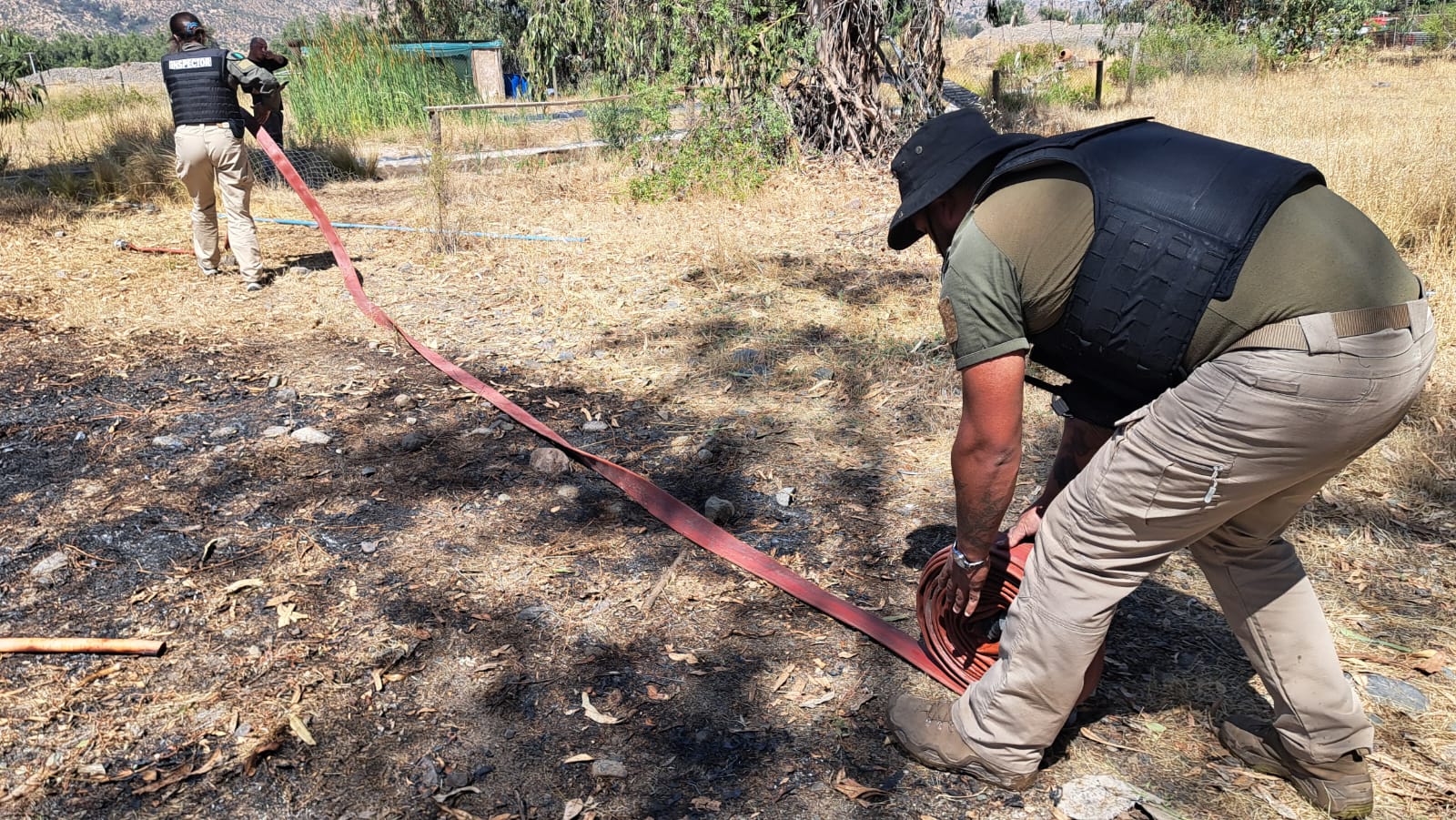 WhatsApp Image 2026 01 12 at 11.56.36