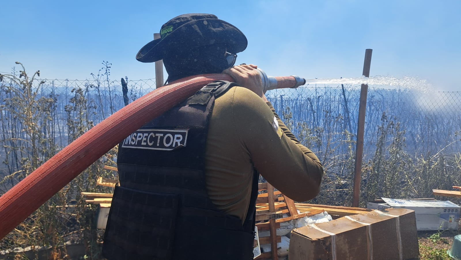 WhatsApp Image 2026 01 13 at 17.06.53 1