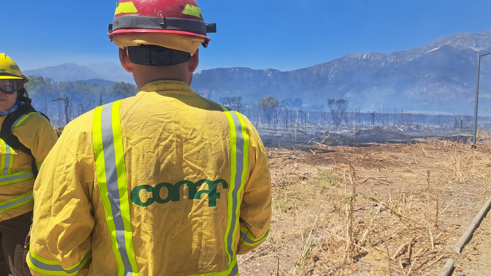 WhatsApp Image 2026 01 13 at 17.06.55