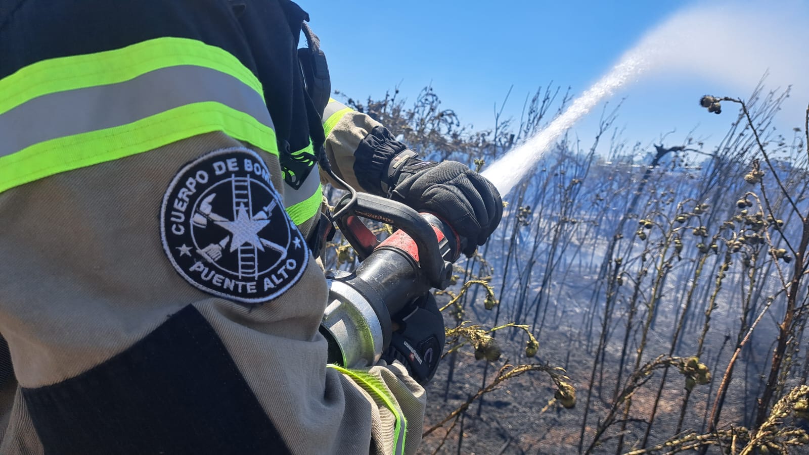 WhatsApp Image 2026 01 13 at 18.12.25