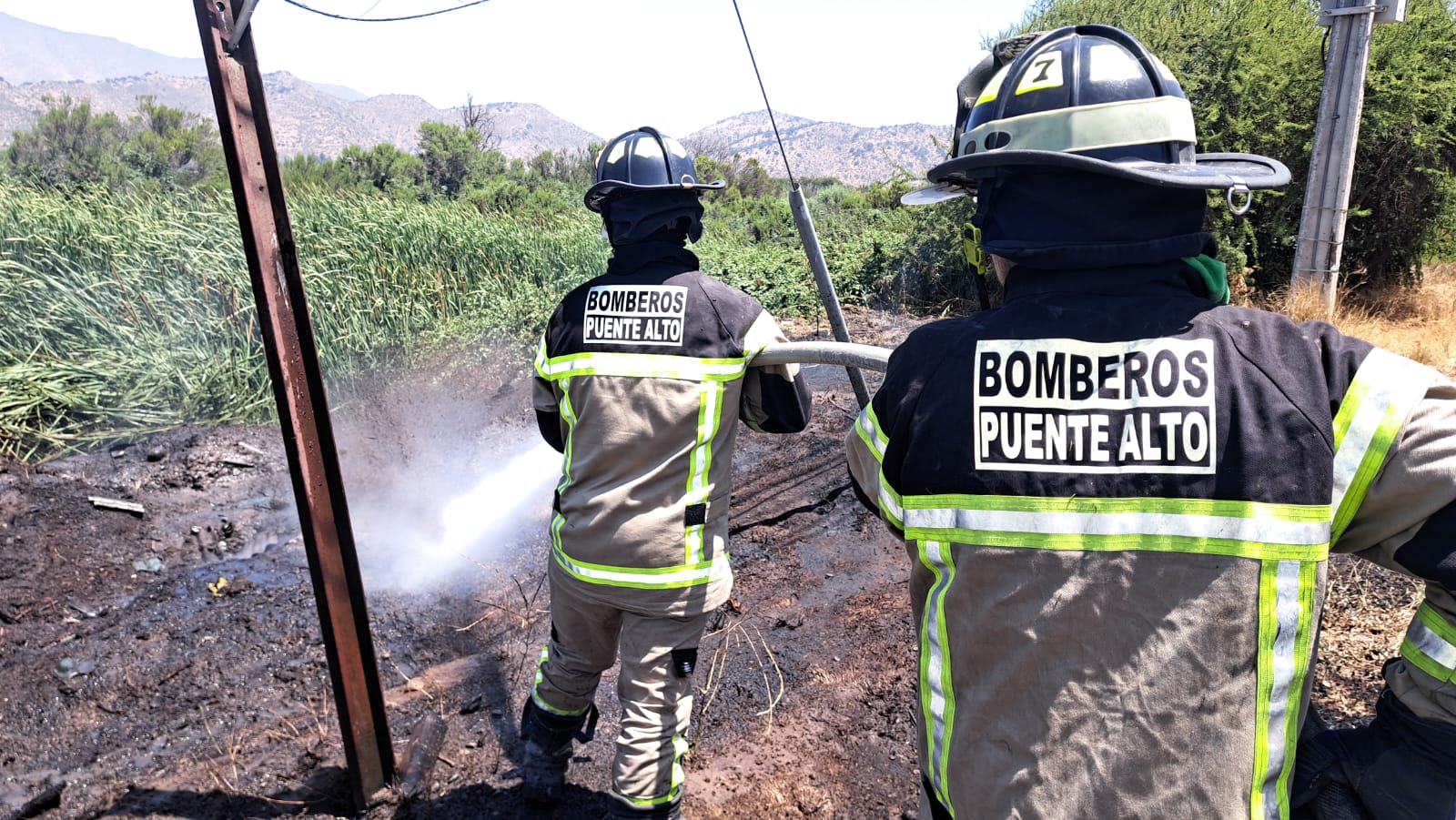 WhatsApp Image 2026 01 19 at 16.11.27