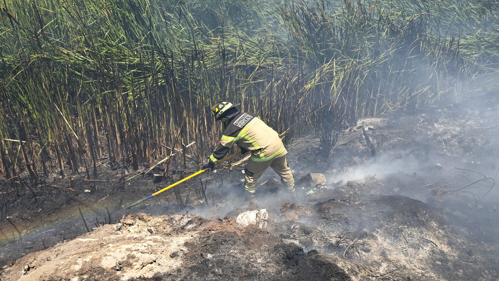 WhatsApp Image 2026 01 19 at 16.11.36