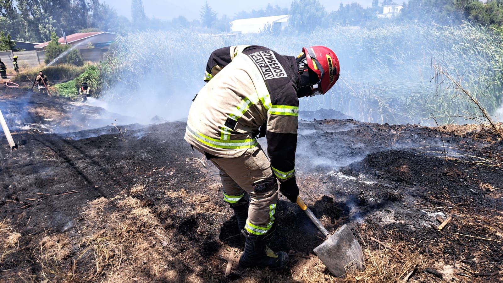 WhatsApp Image 2026 01 19 at 16.11.36 2