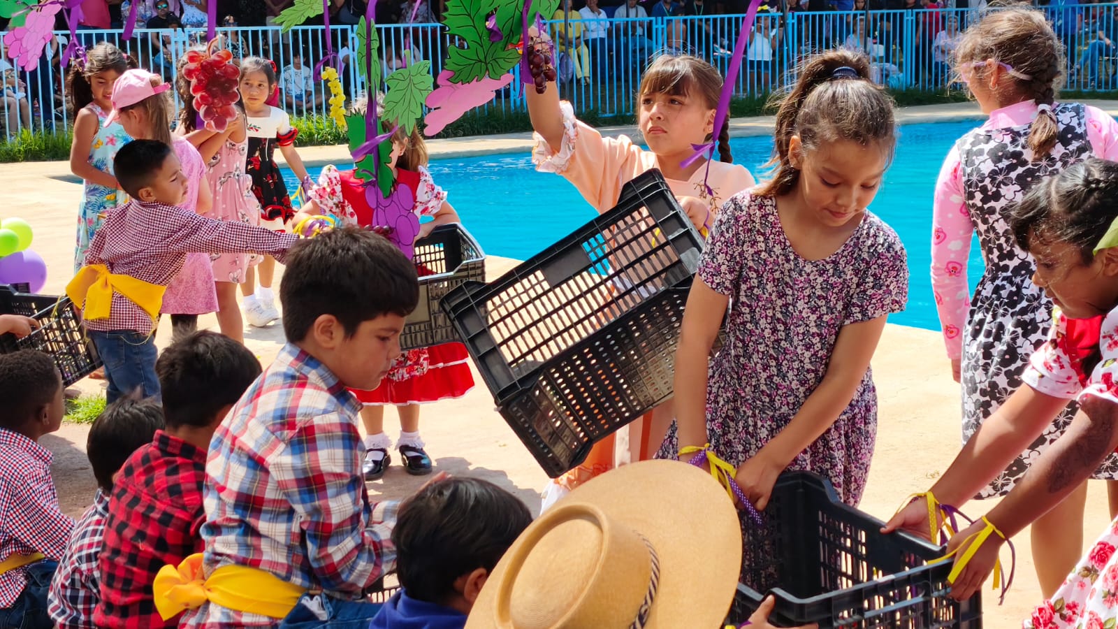 WhatsApp Image 2026 01 30 at 15.47.41