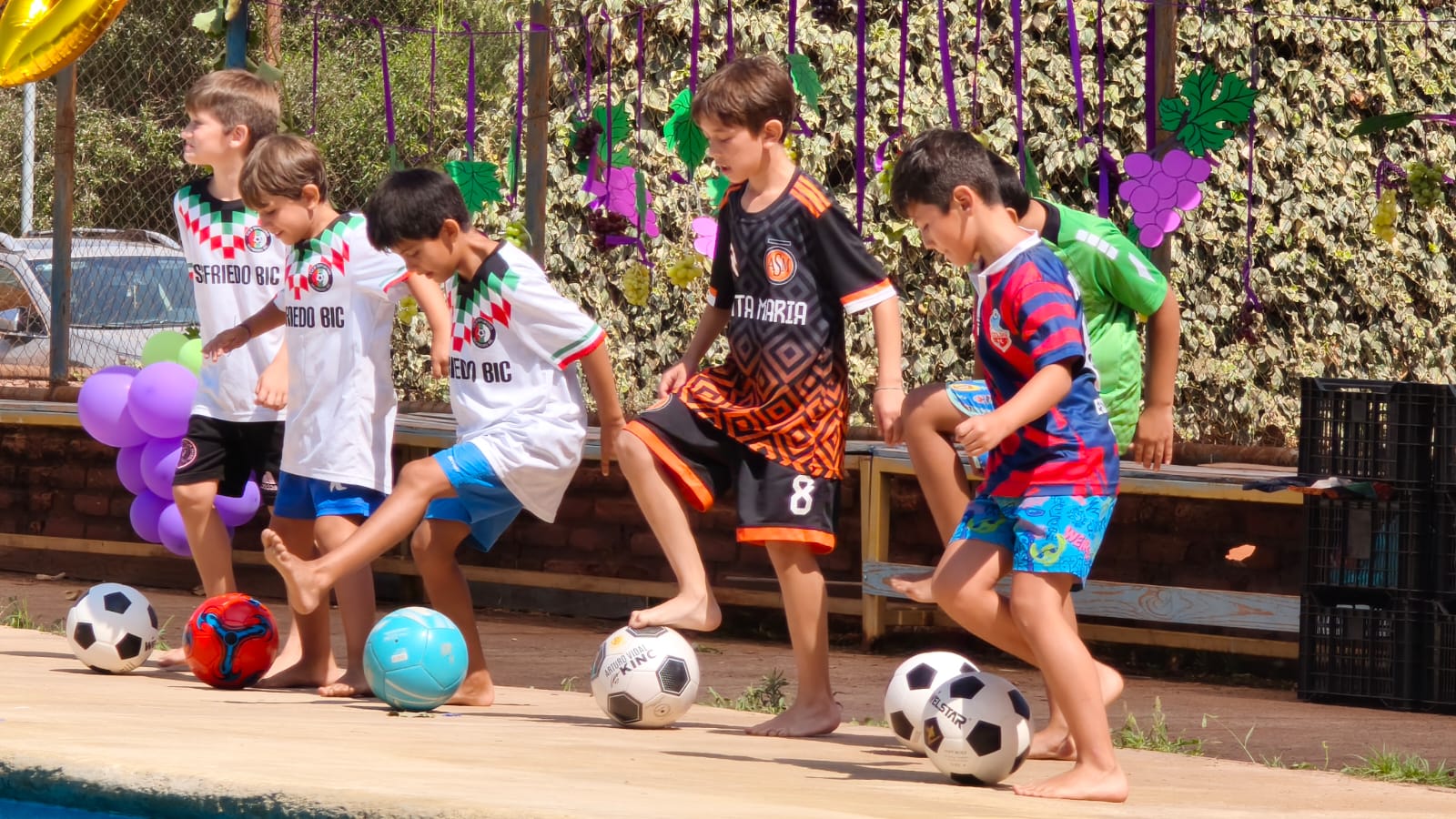 WhatsApp Image 2026 01 30 at 15.56.53