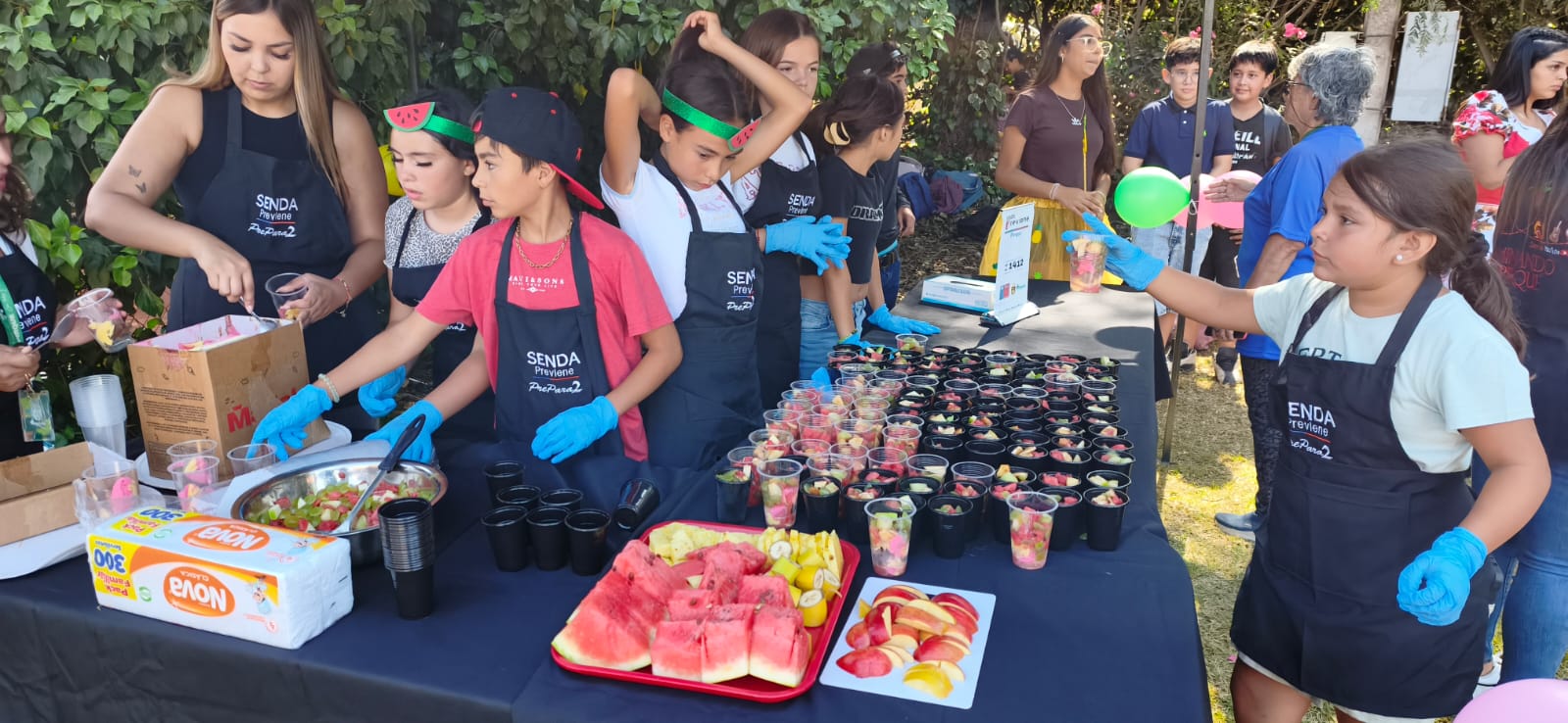 WhatsApp Image 2026 01 30 at 15.56.56