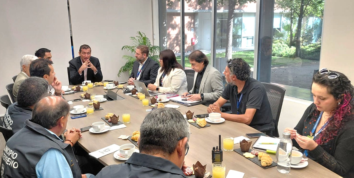 WhatsApp Image 2026 02 11 at 16.50.34