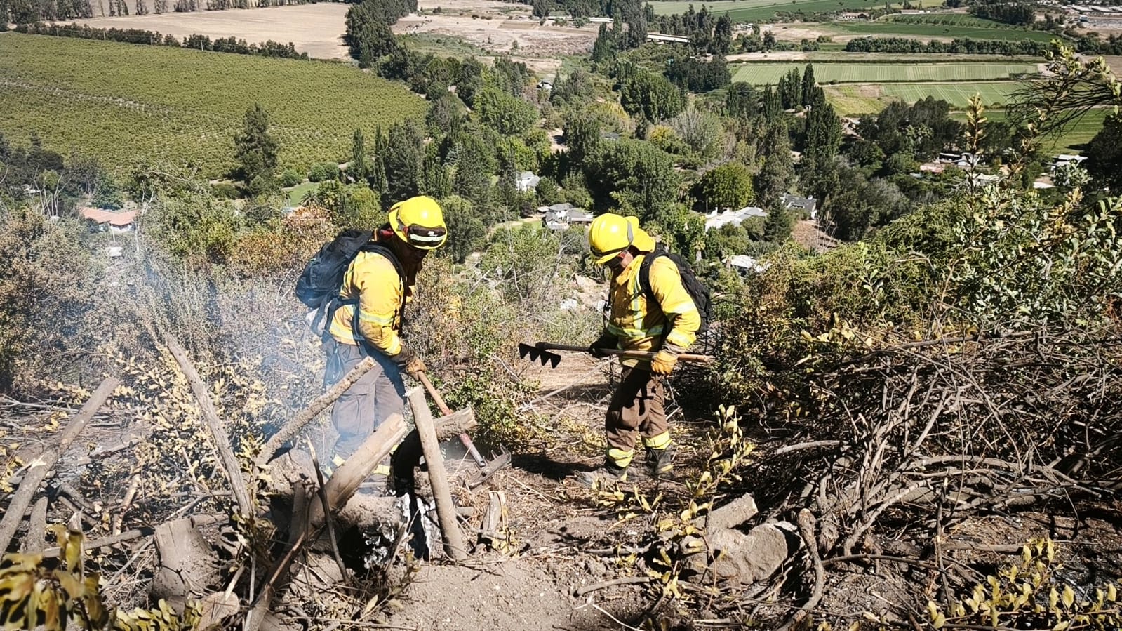 WhatsApp Image 2026 02 17 at 19.20.02 1