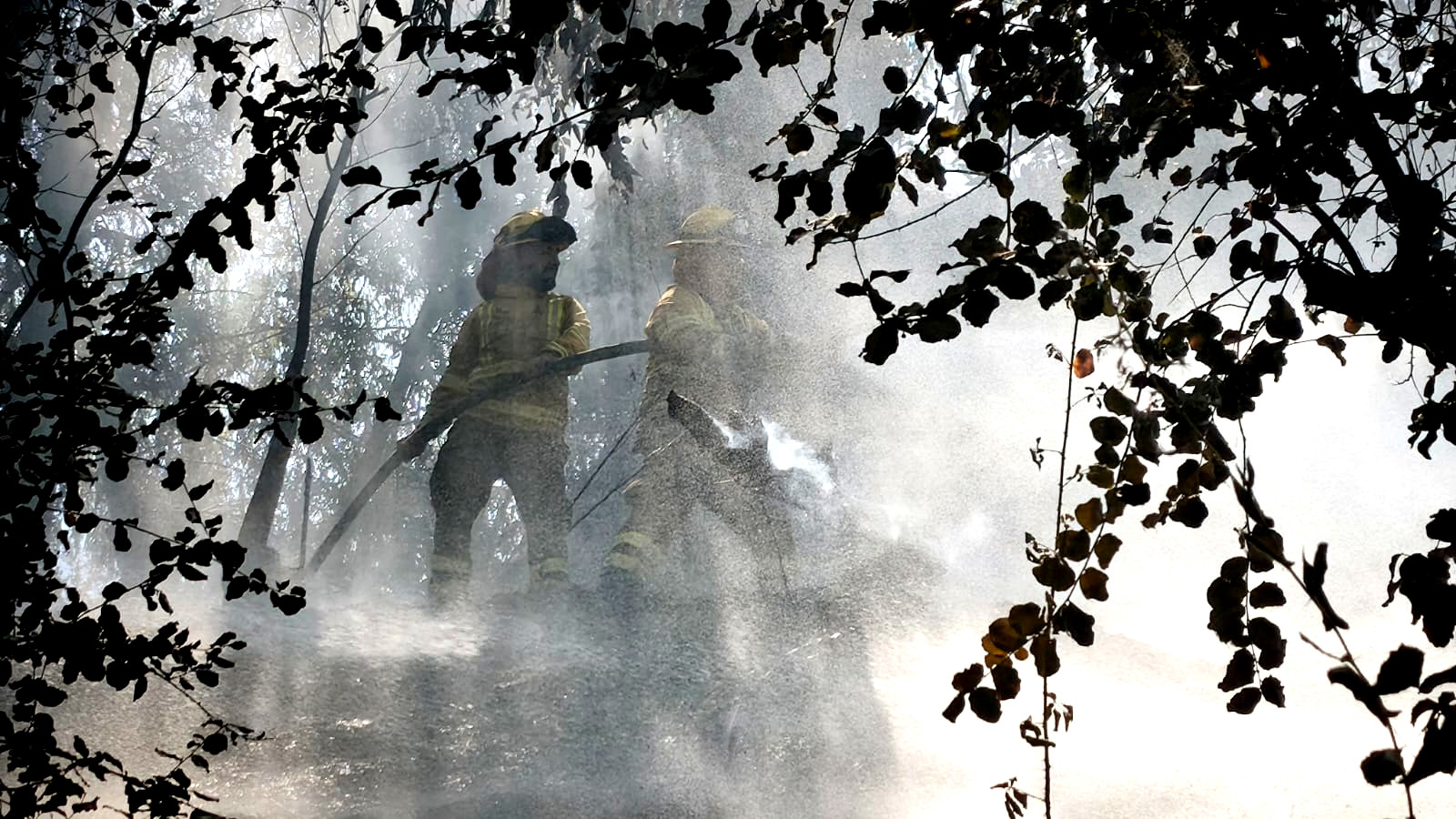 WhatsApp Image 2026 02 17 at 19.46.33