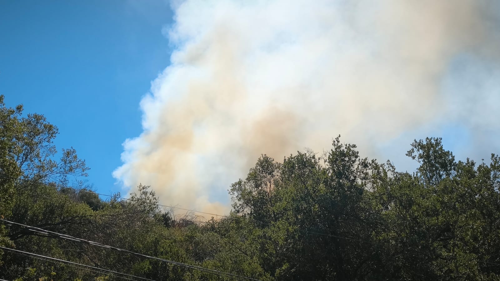 WhatsApp Image 2026 02 18 at 18.46.07