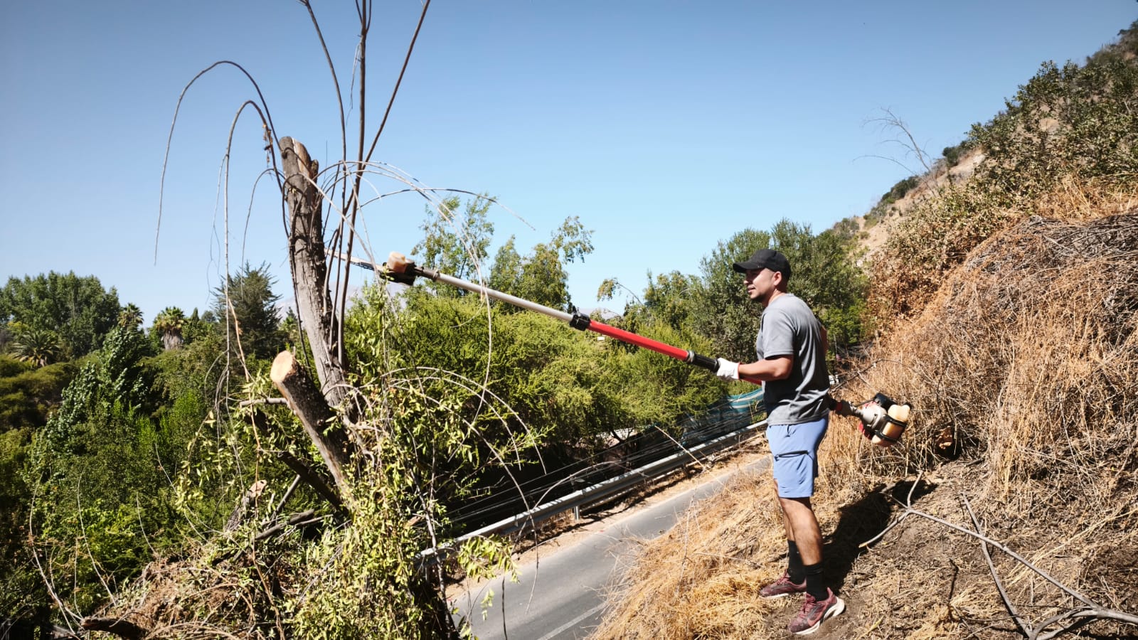 WhatsApp Image 2026 02 24 at 11.02.47