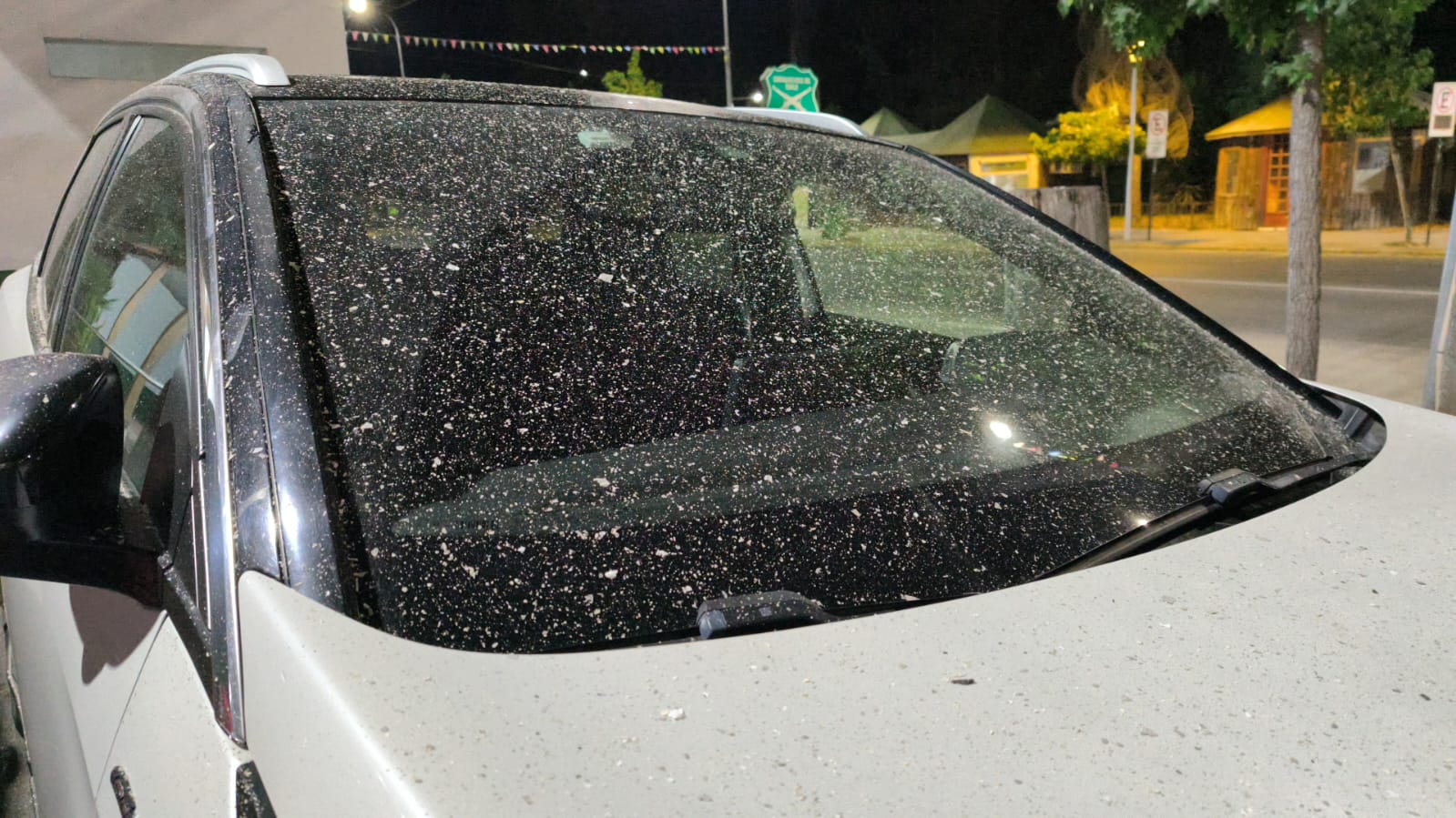 WhatsApp Image 2026 03 04 at 06.37.51