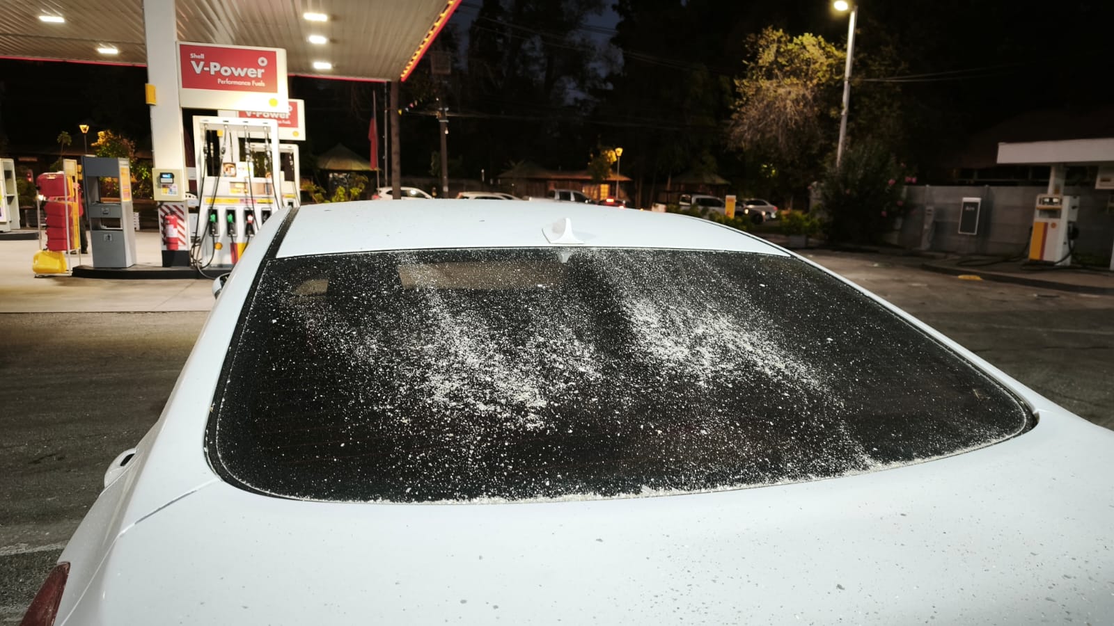 WhatsApp Image 2026 03 04 at 09.02.34