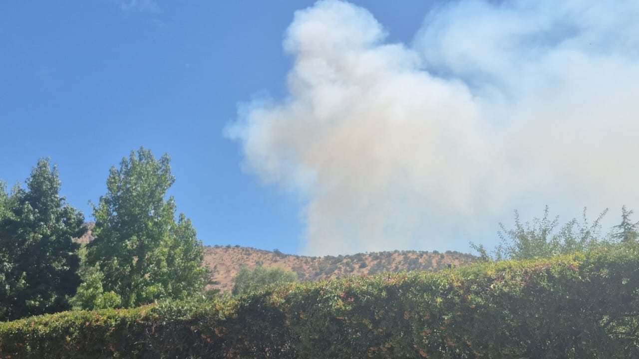 WhatsApp Image 2026 03 10 at 14.27.44