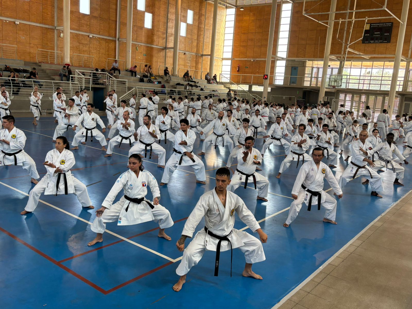 WhatsApp Image 2026 03 14 at 17.29.14