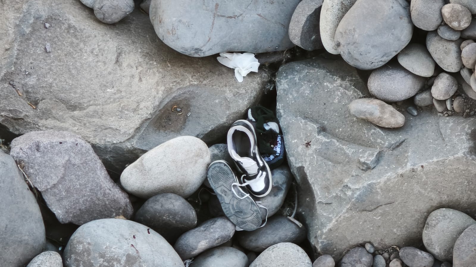 WhatsApp Image 2026 03 17 at 15.25.49