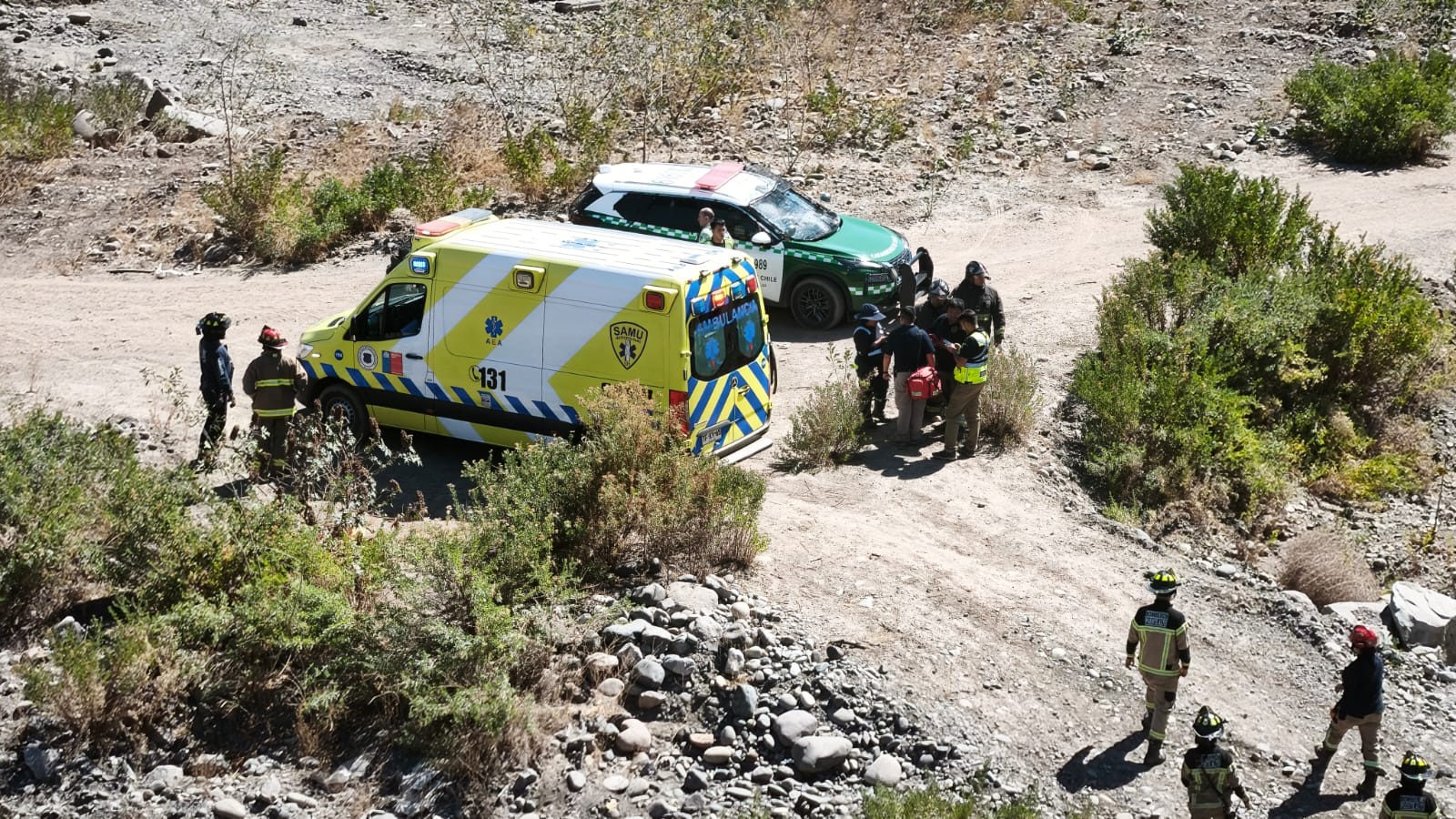 WhatsApp Image 2026 03 17 at 15.25.50 2