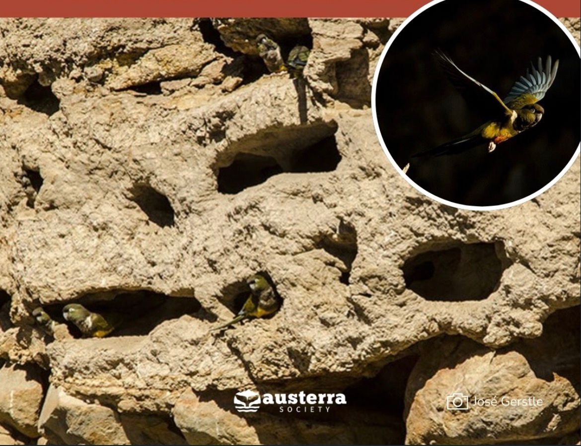 WhatsApp Image 2026 03 26 at 13.10.33