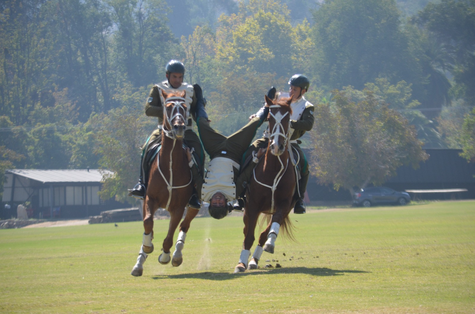 WhatsApp Image 2026 04 09 at 15.20.10