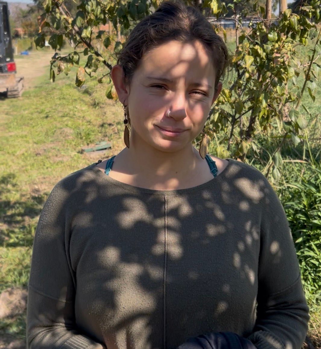 WhatsApp Image 2026 04 29 at 13.11.43