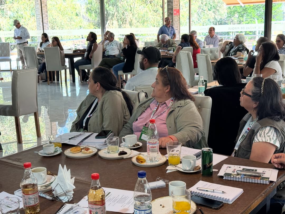 Xapaciotaciones apicola 2025